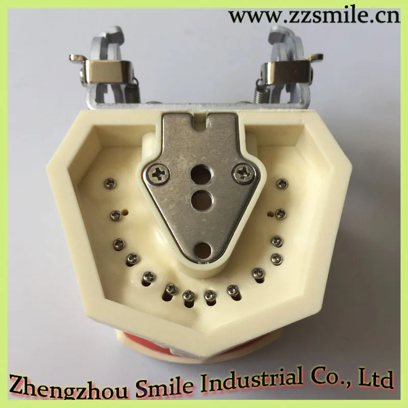 M8011 Standard Dental Tooth Model with 28 Screw in Teeth
