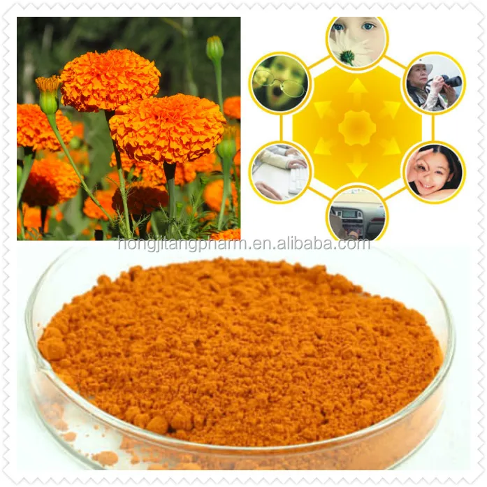 BEST SELLER High Quality Natual Marigold Flower Extract lutein 10-80% Powder