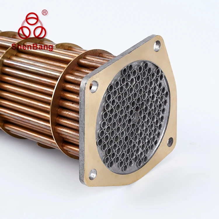 
One Year Quality Truck Oil Cooling System for RENAULT D5010550127 Oil Cooler 