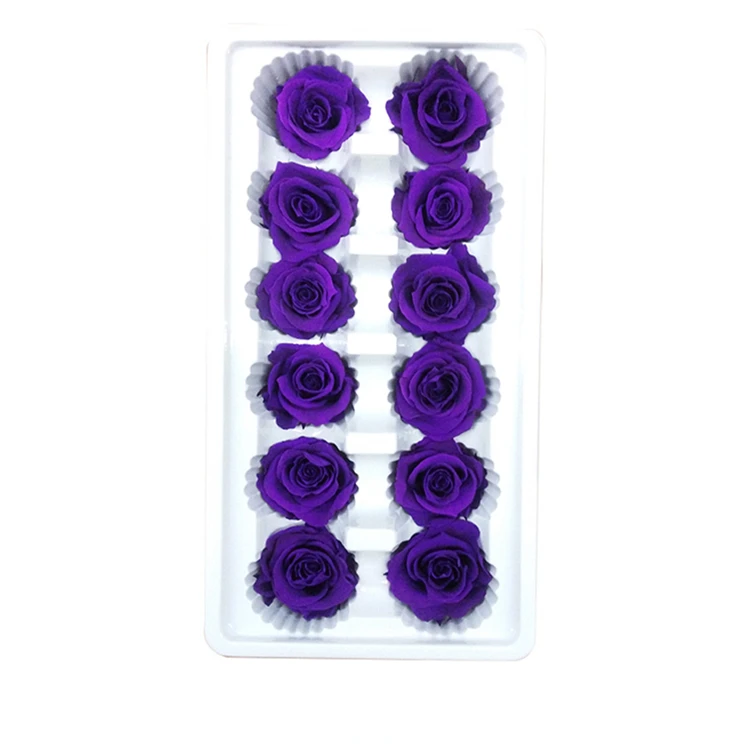 
Scientific Names of Flower Longlife Roses Preserved Roses discount 