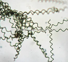 
Pure and natural health food supplement 200mg, 250mg, 300mg, 400mg, 500mg spirulina tablets/flakes 