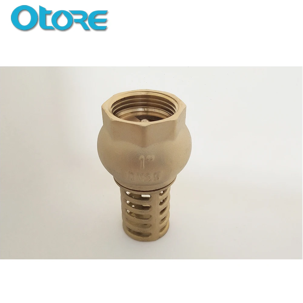 BSP Female Brass Foot Valve And Strainer For Pump