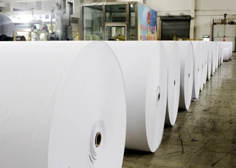 Ivory Fbb Board,C1s Board ,One side folding box board white back