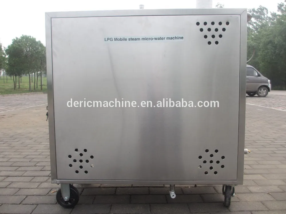 High - LPG auto steam cleaner on sale