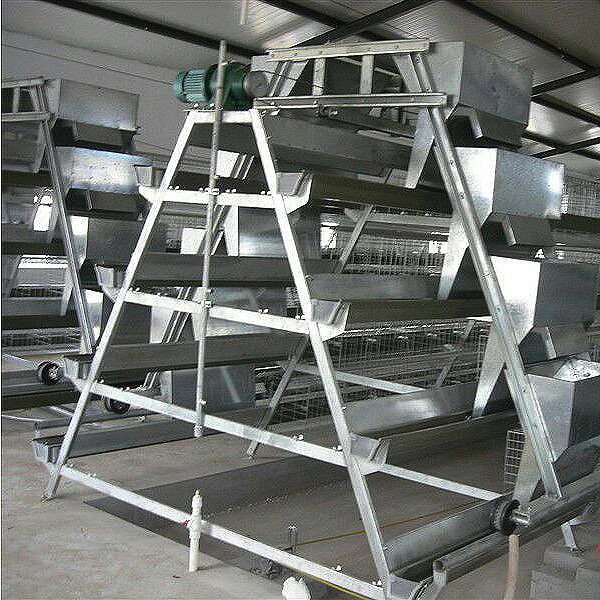 egg chicken Poultry Shed Cage for layer chicken farm Poultry farm house A type layer galvanized welded wire mesh egg chicken