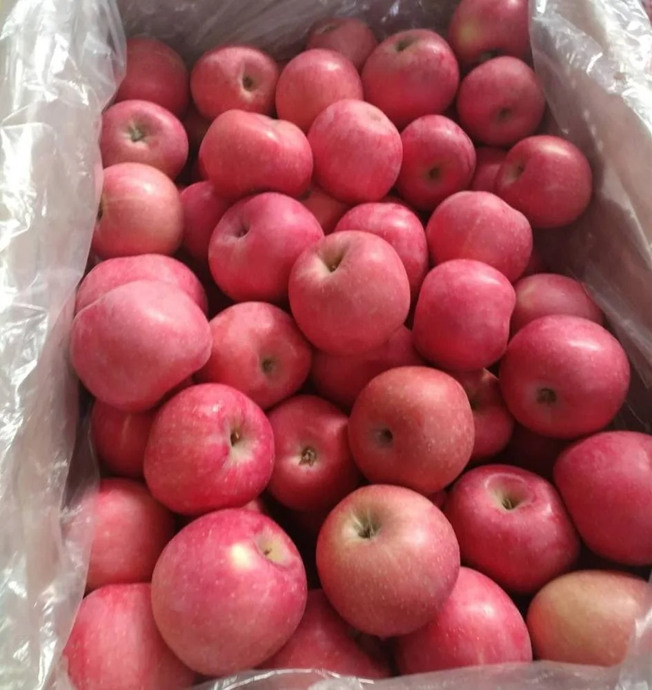 2022 new crop paper bagged fuji apple