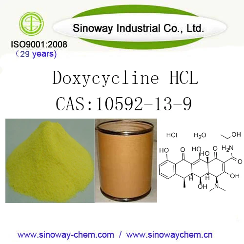 
Best Price Doxycycline HCL cas 10592-13-9 
