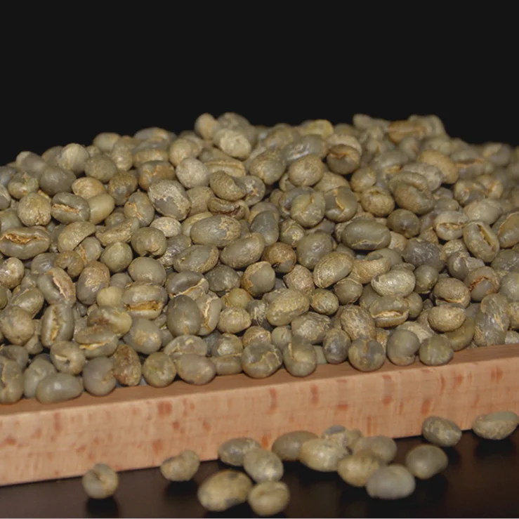 Кофейные Семена с высокой степенью прорастания для выращивания