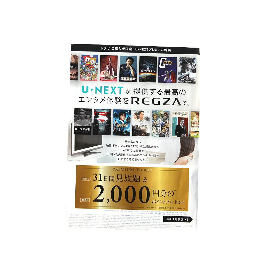 
High Quality Custom Advertising Flyer Full Color Cheap Price Ticket Printing in China 