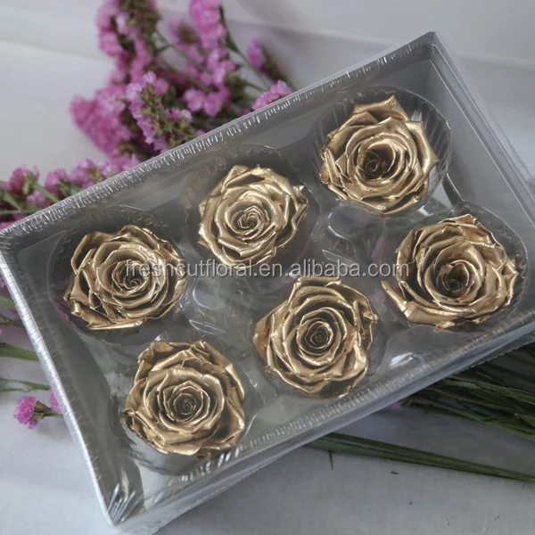 Various Hot Selling Preserved Rose Flower Multi-color Dried Rose Head Wholesale from Yunnan China