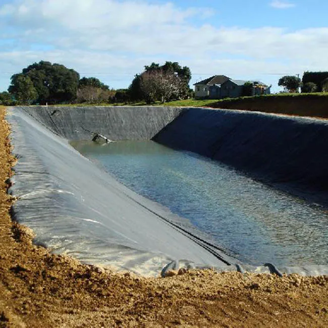 High Quality HDPE Geomembrane/HDPE Lining