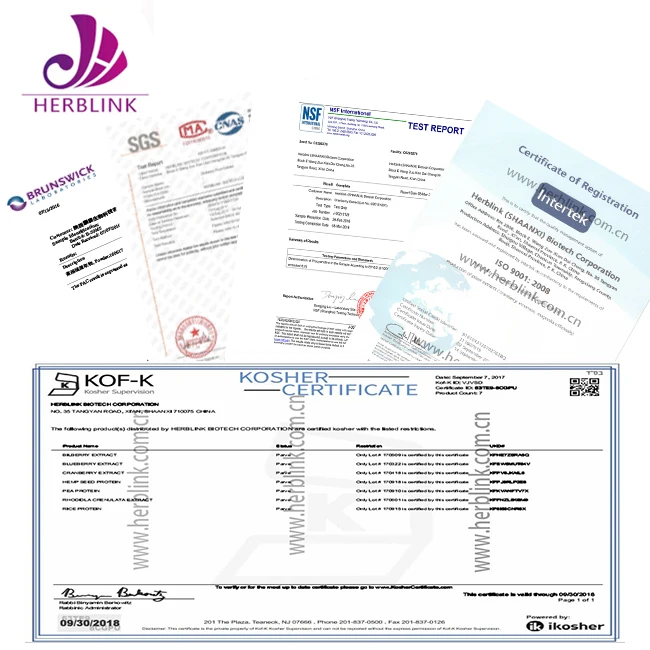 Green tea extract new products 2017