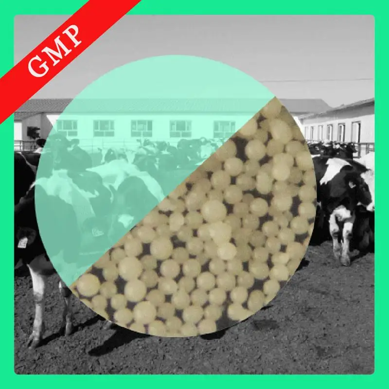 
Feed Additives for Beef Cattle Fattening Rumen Protected Lysine 