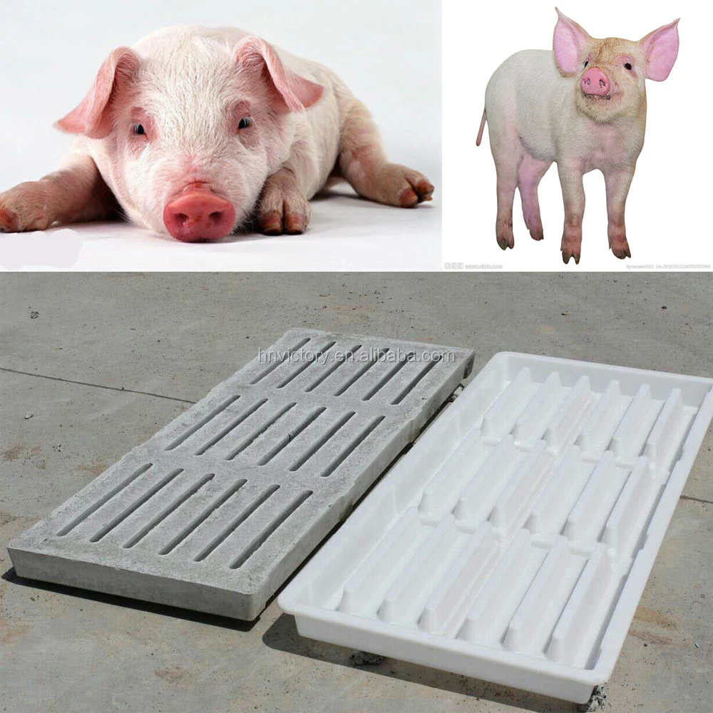 Pig concrete fecal leakage slats mould Board Making Machinery