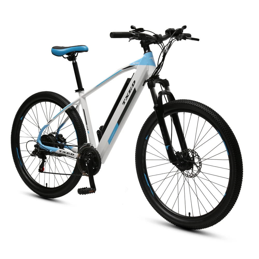 Mountain E Bike Electric Bicycle