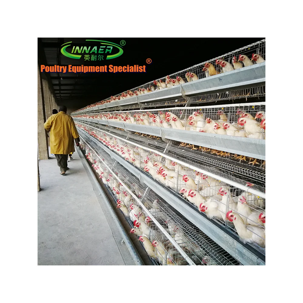 Оборудование для подогрева птицы