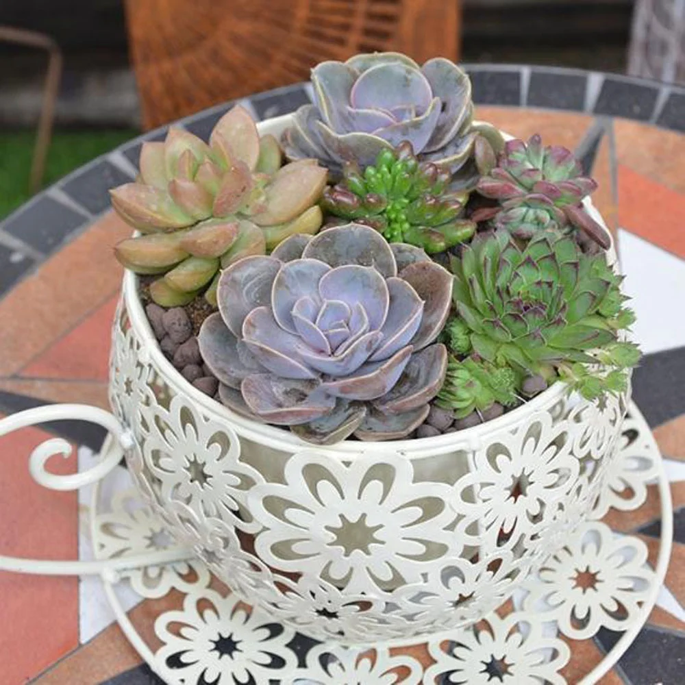 antique metal flower pot  Succulent Plant Container Decorative Indoor iron flower pots decorative tin flower pot