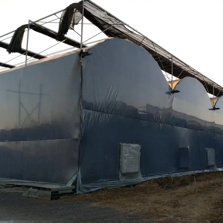 Agricultural Greenhouse With Blackout Curtain