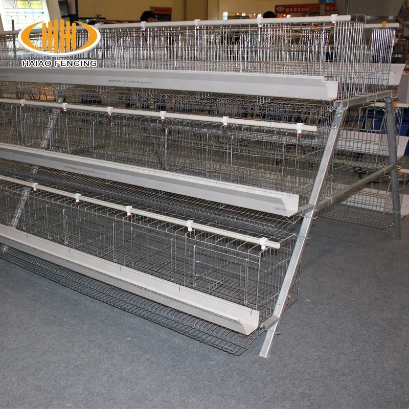 China factory wholesale low price good poultry chicken cages layer cages egg chicken