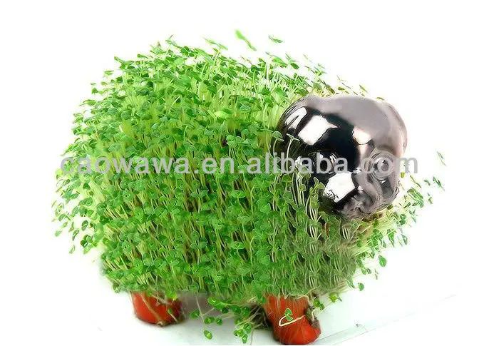 Посадочная трава для домашних животных, выращивание без земли, Волшебная кукла «сделай сам», подарки, новинка, подарки, серия настольных комнатных растений, выращивание травы