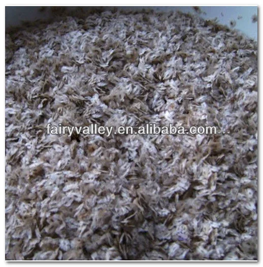 Royal Paulownia Tree Seeds For Fast Growing-High Quality