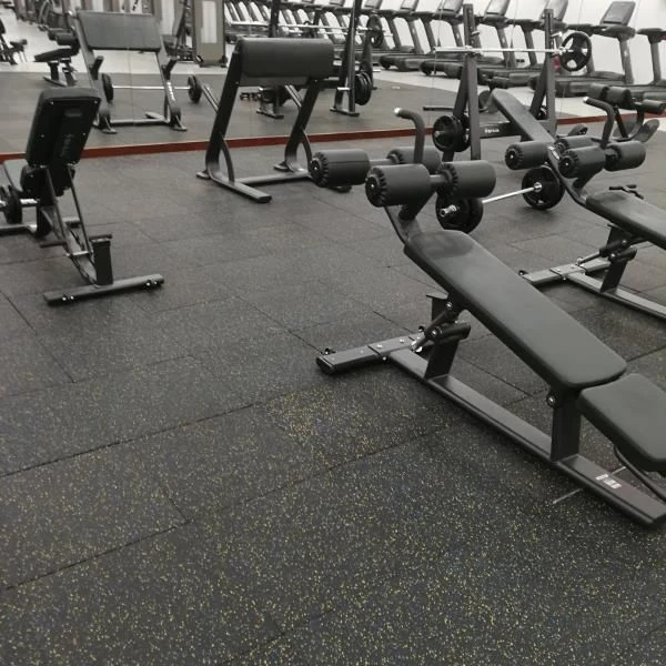 Recycled rubber flooring bricks for gym/ gym ruber flooring  mat
