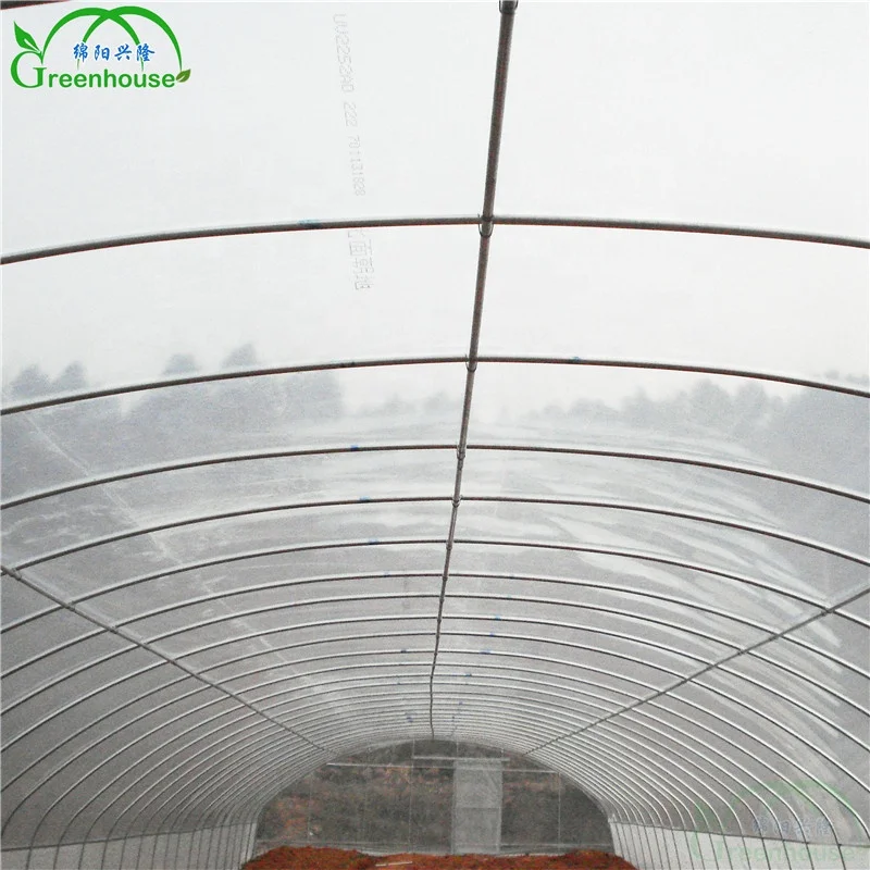 Plastic Film Solar Greenhouse