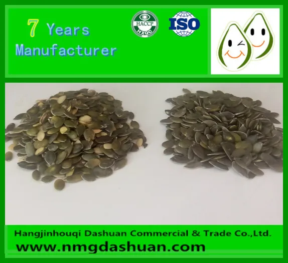 2021 crop China bulk raw GWS pumpkin seeds