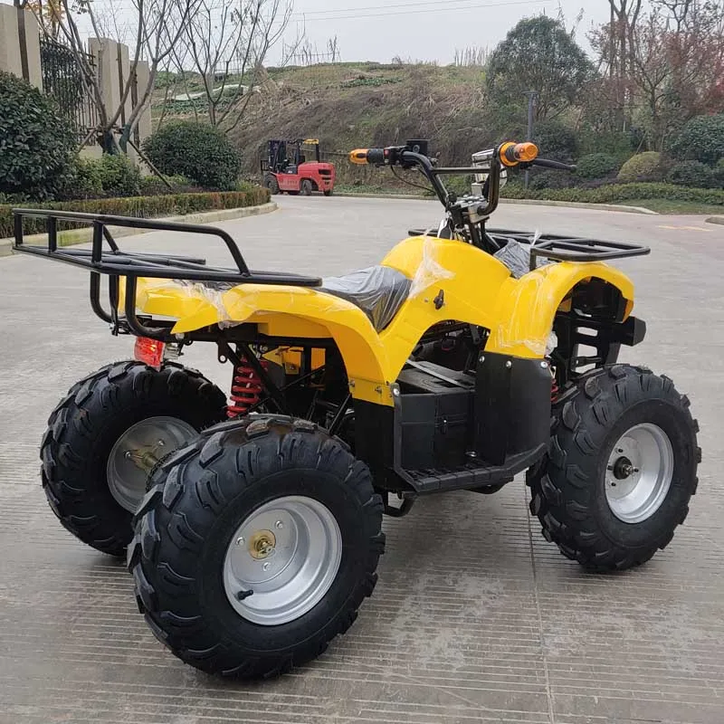 High quality 500/800/1000W electric mini kids ATV quad bike with CE