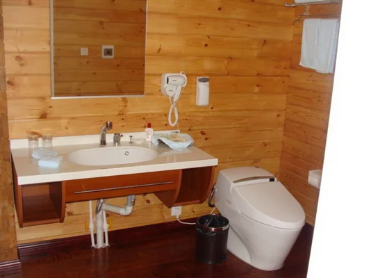 2020 Bedroom modular homes Low Cost prefabricated wood House