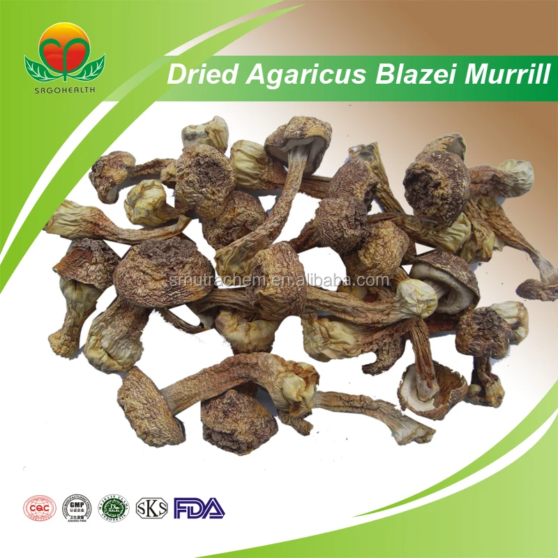 Сушеный агарикус блейсей муррилл по конкурентоспособной цене