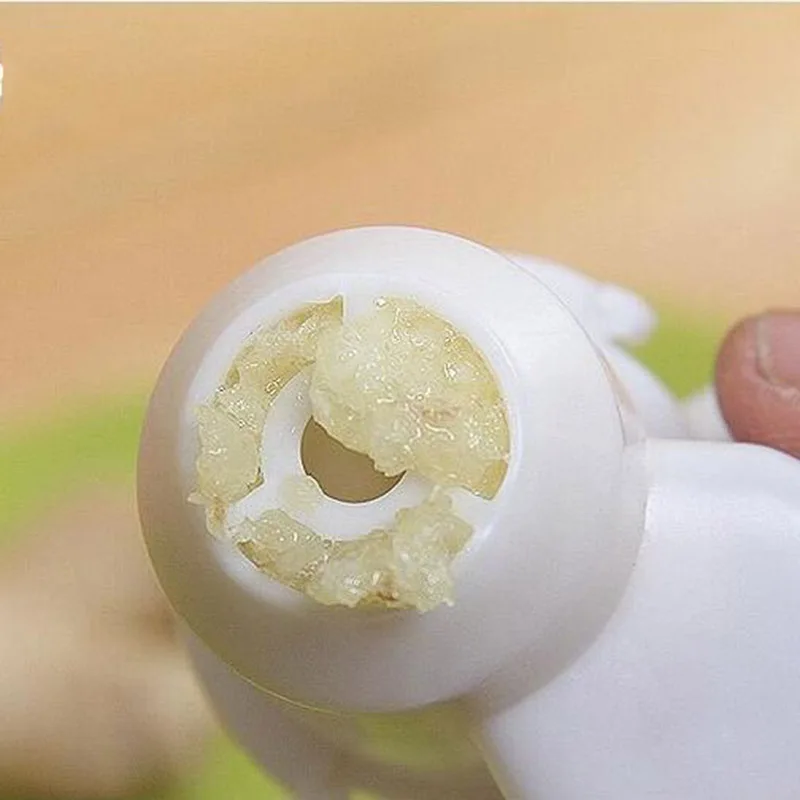 Fruit Vegetable Tool Ginger Garlic Presses High Quality Kitchen Cooking Tool Potato Garlic Cutter Best Selling