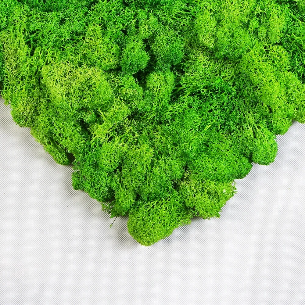 New products custom preserved reindeer outdoor artificial moss grass wall for decoration