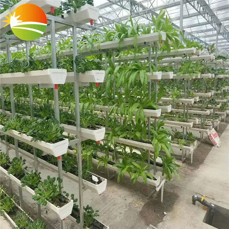 hydroponic greenhouse China Gold Supplier