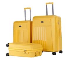 PP Trolley Suitcase Crown Suitcase Travel Luggage Trolley