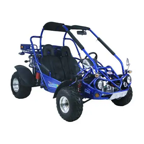 Off Road Beach Buggy 300cc Adventure Buggy