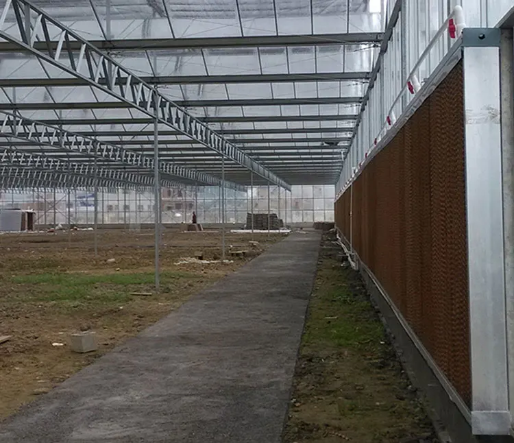 hot sale lowest price new design pad and fan greenhouse cooling systems
