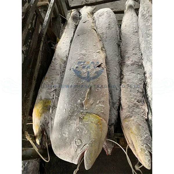 
Whole round seafrozen MAHI MAHI with wholesale price 
