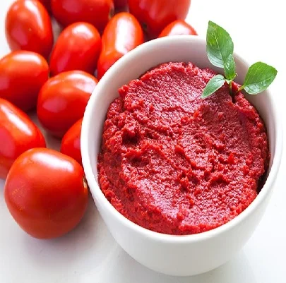 Dunhe Foods supply Hot Sell Canned Tomato Paste, Tomato Sauce, Tomato Ketchup