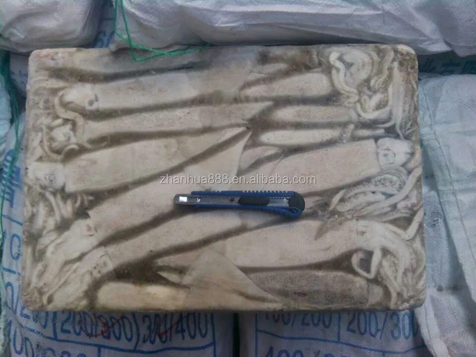 Argentina Squid For Tuna Bait Squid Raw Material