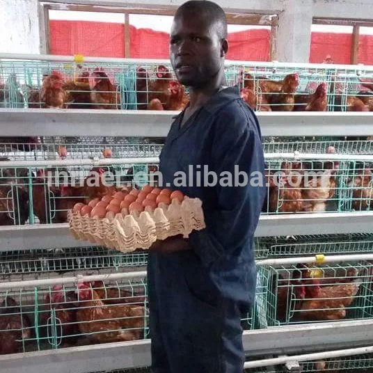 Egg laying Chicken Cage for sale