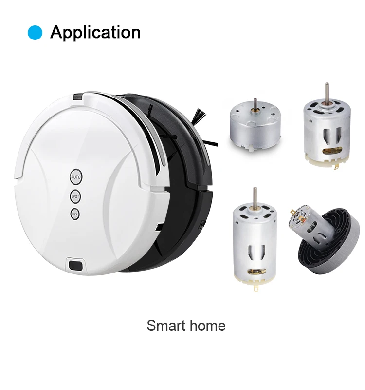 Carbon Brush DC Motor 12V Vacuum Cleaner Motor RS-555SH-2670