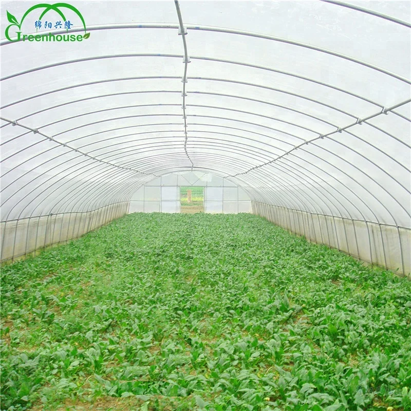 XL Multi-span Greenhouse With Hydroponic Growing Systems