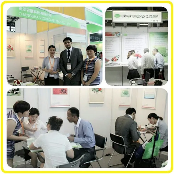 
High Quality Hops Flower Extract 