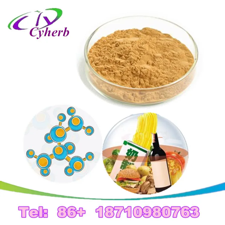 
Pure Professional Manufacturer Orange Peel Glucoside and Hesperidin Extract Powder 