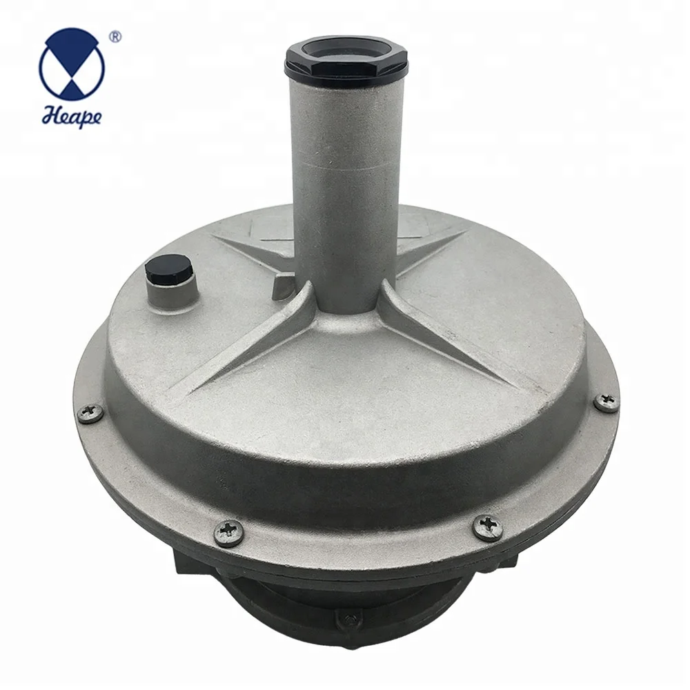 
HEAPE 2 Bar Multifunction Gas Pressure Regulator with Filter DN15-DN50 Dry Gases OEM and ODM 30days CN;ZHE HPNR05 