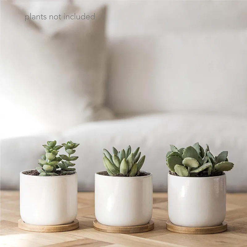 Set of 3 Ceramic Pots for Plants 4 inch Catcus Flower Planter Drainage Hole White Ceramic Succulent Pots with Bamboo Tray Decor