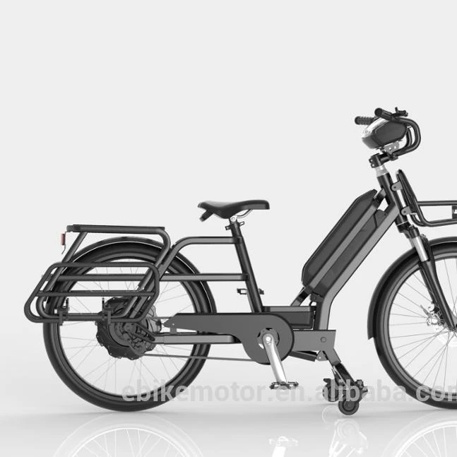 cargo ebike with larger carry capacity