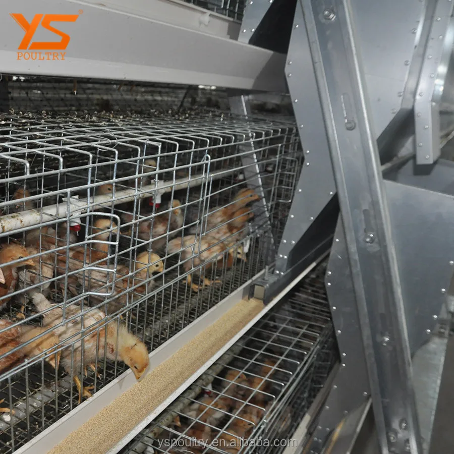 
Chicken Farm 3 tiers Baby Chicken Cage 