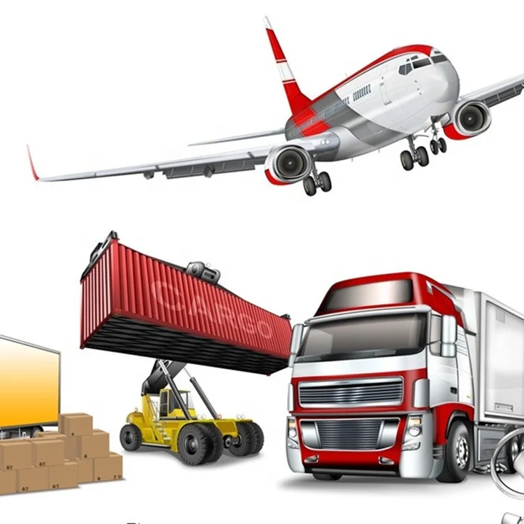 
Professional China Agent Sea Shipping Service From China to Qatar/Hamad/Doha/Mesaieed/Umm Said/Other 